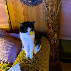 Meet your Posher, Mary ann